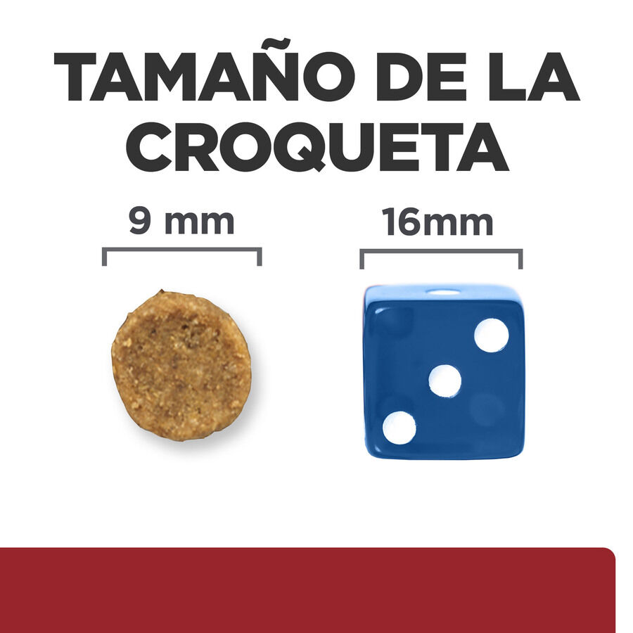 1.5 kg Hill's Prescription Diet Digestive Care i/d Pollo pienso para gatos, , large Imagen numero 8